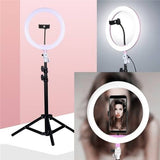 Photography Led Tiktok Ring Light 26cm Metal Frame Dimmable With 8 Ft Tripod Stand | 24HOURS.PK