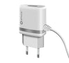 Micro USB Cable 2.4A Wall Charger