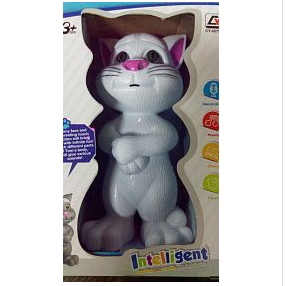 Intelligent Touching Tom Cat with Wonderful Voices | 24hours.pk