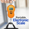 Portable Electronic Scale | 24hours.pk