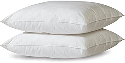 Ok Pillow Hollow Fiber