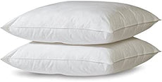 Ok Pillow Hollow Fiber
