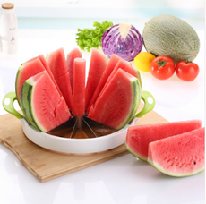 Melon Slicer - Cuts 12 Uniform Slices | 24hours.pk