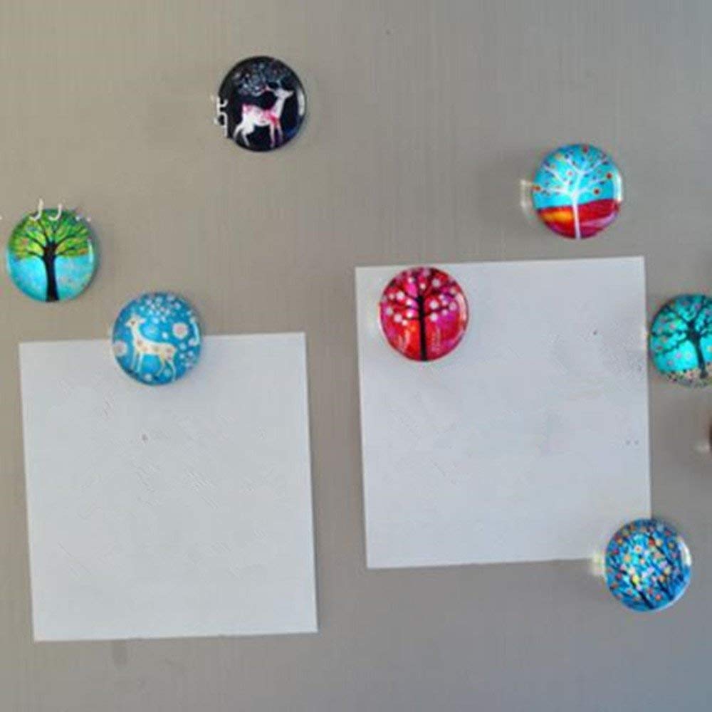 Pack of 5 Attractive Magnetic Refrigerator Glass Stickers Random Designs | 24hours.pk
