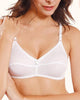 Pack of 3 Flourish Apple Bra | 24hours.pk