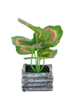 Plant.Mix.Std.SG25-05
