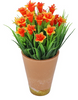 Plant Orange ZA-88
