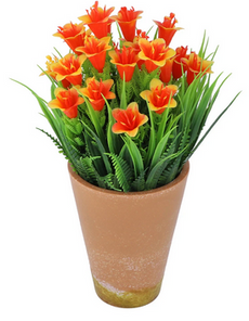 Plant Orange ZA-88