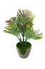 Plant.Mix.Std.SG25-08