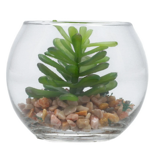 Table Plant Standard 6--1