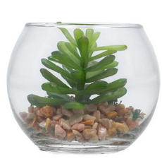 Table Plant Standard 6--1
