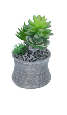 Plant.Stone.Std.SG25-9