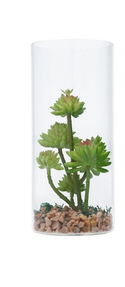 Table Plant Standard 6--13