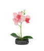 Plant.Mix.Std.SG25-25