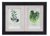 Photo Frame Wood ZA09-54