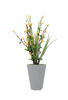 Arrangements Yellow ZA-83