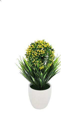 Plant.Yellow.Std.SG25-27