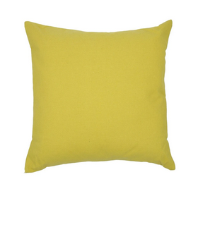 Apple Green Filled Cushion 18x18