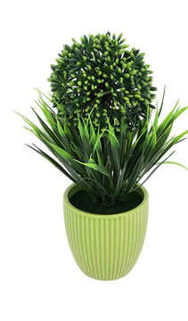 Plant.White.Std.SG25-28