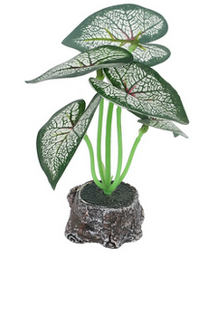 Plant.Mix.Std.SG25-6
