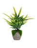 Plant . Mix . Std . SG25-09
