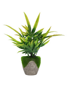 Plant . Mix . Std . SG25-09