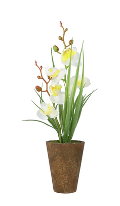 Arrangements ZA-90