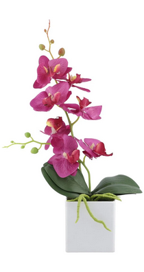 Arrangements ZA-89