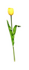 Flowers Sticks.Plastic.Yellow.Std.602