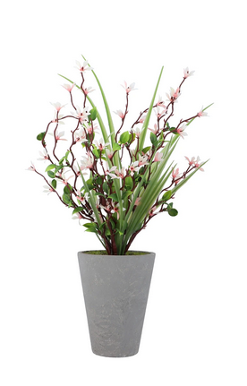 Plant White ZA-83