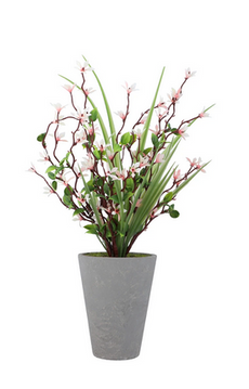 Plant White ZA-83