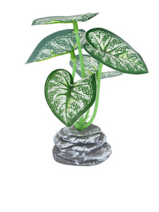 Plant.Mix.Std.SG25-5