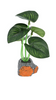 Plant.Mix.Std.SG25-8