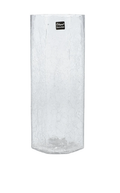 Glass Vase Std 25