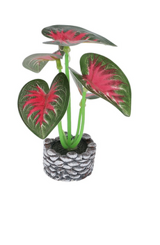 Plant.Mix.Std.SG25-16