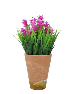 Plant Purple ZA-88