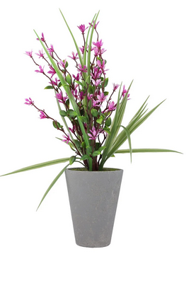 Plant Purple ZA-83