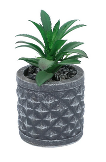 Plant.Stone.Std.SG25-10
