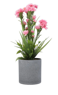 Plant Pink ZA-91