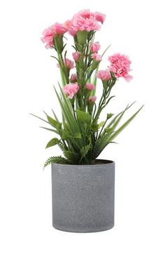 Plant Pink ZA-91