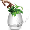 Flowerpot Night Light Smart Touch Music Plant Lamp Rechargeable Wireless Play Piano on a Real Plant Musical Boxes without Plant | 24HOURS.PK