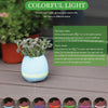 Flowerpot Night Light Smart Touch Music Plant Lamp Rechargeable Wireless Play Piano on a Real Plant Musical Boxes without Plant | 24HOURS.PK