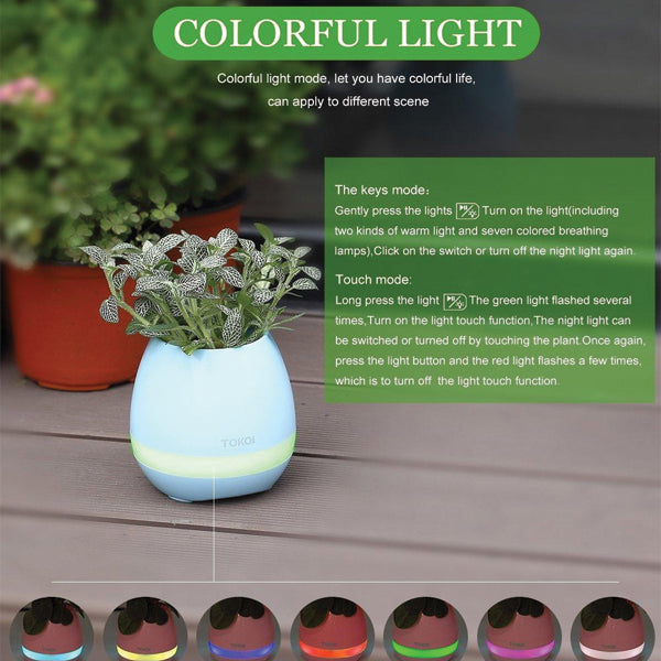Flowerpot Night Light Smart Touch Music Plant Lamp Rechargeable Wireless Play Piano on a Real Plant Musical Boxes without Plant | 24HOURS.PK