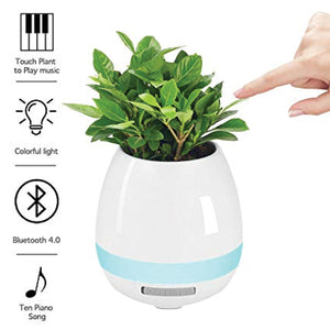 Flowerpot Night Light Smart Touch Music Plant Lamp Rechargeable Wireless Play Piano on a Real Plant Musical Boxes without Plant | 24HOURS.PK
