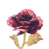 24k Galaxy Plastic Rose With Love-Shaped Support, Unique Gift for Valentine's Day Wedding And Anniversary The Best Gift For Bride And Wife Random Colors | 24hours.pk