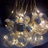 Festive Lights,  LED Globe Fabulous Decoration | 24hours.pk