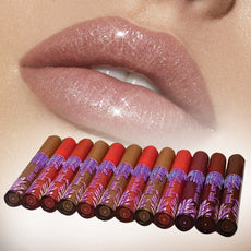Velvet Matte Secret Matte Lip Gloss Shades Of The Season 10 Pcs Set