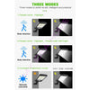 Outdoor Solar Light