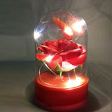 Musical Led Decoration Random Flowers and Colors | 24hours.pk