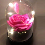 Musical Led Decoration Random Flowers and Colors | 24hours.pk